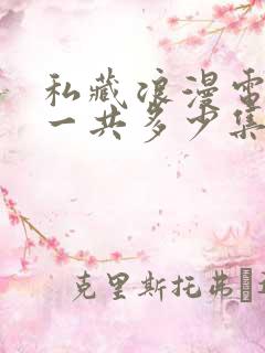 私藏浪漫电视剧一共多少集