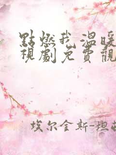 点燃我温暖你电视剧免费观看高清