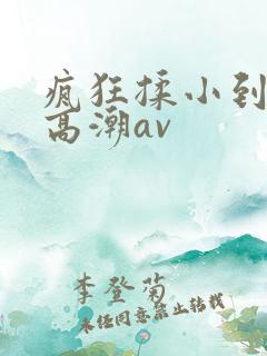 疯狂揉小到失禁高潮av