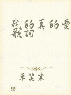 我的真的爱上你歌词
