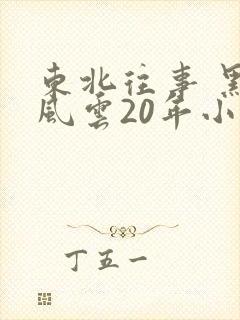 东北往事 黑道风云20年小说
