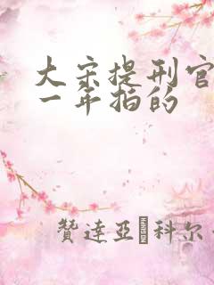 大宋提刑官是哪一年拍的