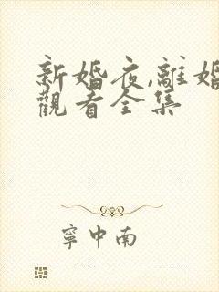 新婚夜,离婚时观看全集
