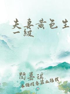 夫妻黄色生活片一级