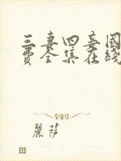 三妻四妾国语免费全集在线观看