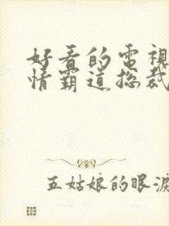 好看的电视剧爱情霸道总裁