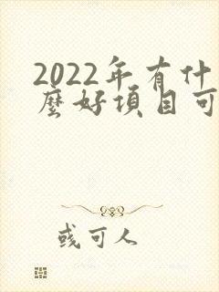 2022年有什么好项目可以挣钱