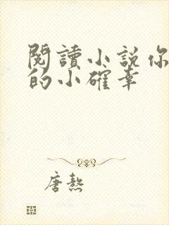 阅读小说你是我的小确幸