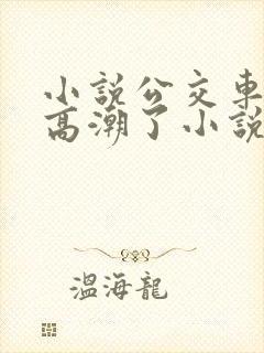 小说公交车被上高潮了小说