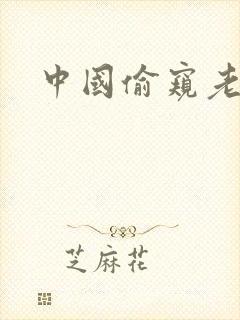 中国偷窥老熟妇