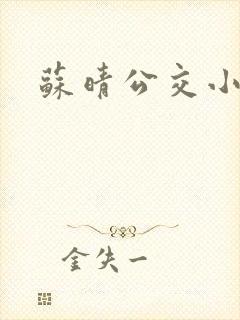 苏晴公交小说