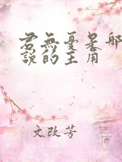 君无忧是哪部小说的主角