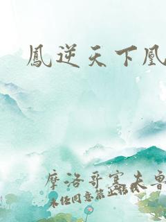 凤逆天下凰北月
