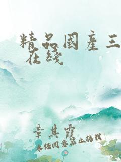 精品国产三级a 在线