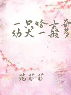 一只哈士奇纯种幼犬一般多少钱