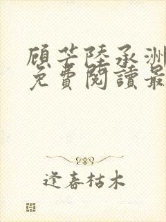 顾芒陆承洲全文免费阅读最新章节