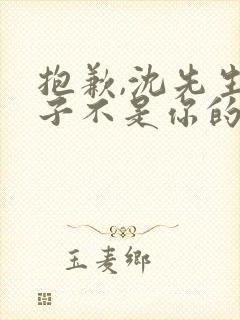 抱歉,沈先生孩子不是你的