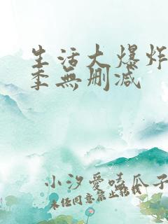 生活大爆炸第一季无删减