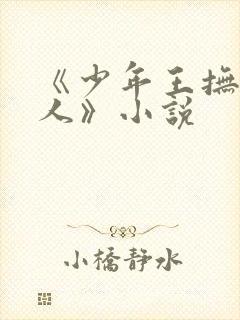 《少年王抚琴的人》小说