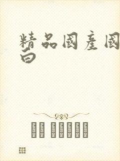 精品国产国语对白