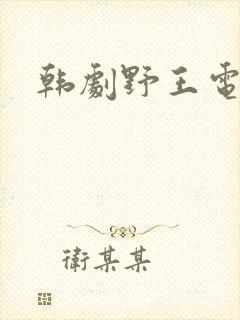 韩剧野王电视剧