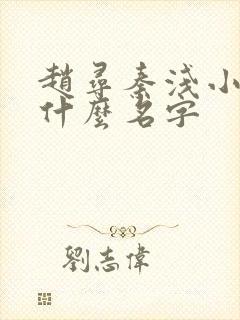 赵寻秦浅小说叫什么名字