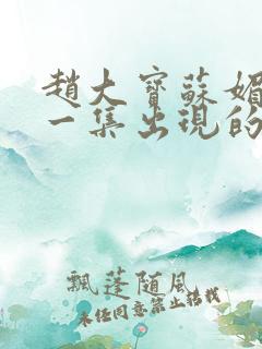 赵大宝苏媚是哪一集出现的