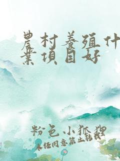 农村养殖什么创业项目好