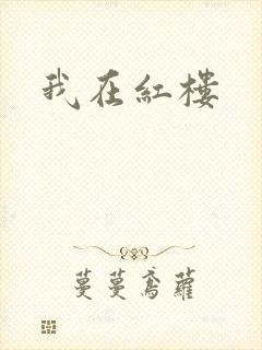 我在红楼