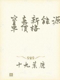 宝来新能源纯电车价格
