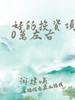 好的投资项目10万左右