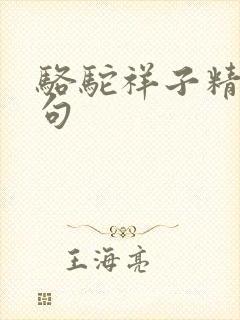 骆驼祥子精彩段句