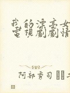我的漂亮女房东电视剧剧情