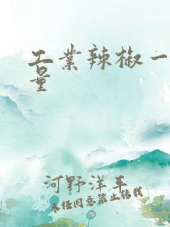 工业辣椒一亩产量