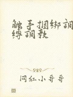 触手捆绑调教紧缚调教