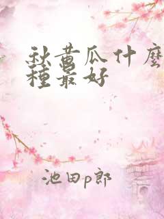 秋黄瓜什么时候种最好