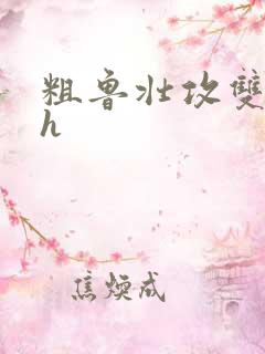 粗鲁壮攻双性受h