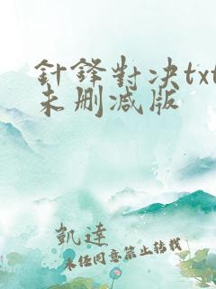 针锋对决txt未删减版