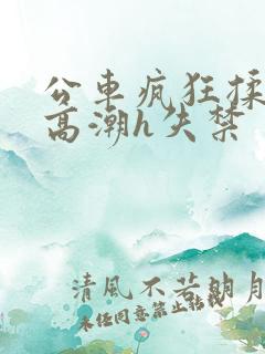公车疯狂揉肉蒂高潮h失禁