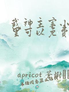 武神主宰小说哪里可以免费阅读