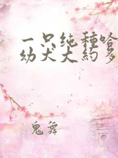 一只纯种哈士奇幼犬大约多少钱