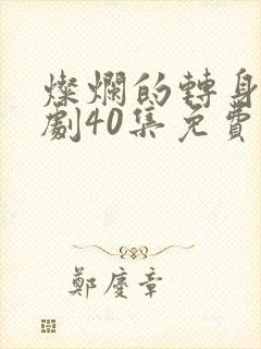 灿烂的转身电视剧40集免费观看全集