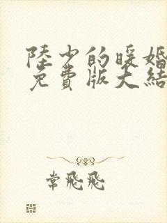 陆少的暖婚新妻免费版大结局