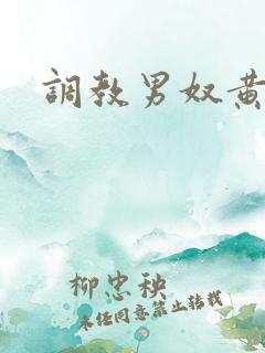 调教男奴黄金