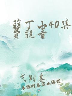 薛丁山40集免费观看