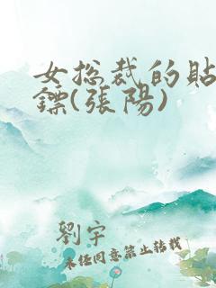 女总裁的贴身保镖(张阳)