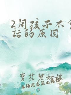 2周孩子不会说话的原因