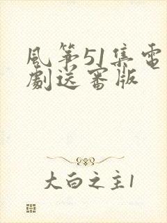 风筝51集电视剧送审版
