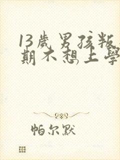 13岁男孩叛逆期不想上学怎么办