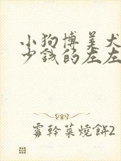小狗博美犬是多少钱的左左右 小狗博美犬是多少钱的左左右